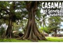 Casamance, la senegal más autentica
