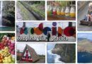 Completa guia practica de Madeira