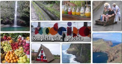Completa guia practica de Madeira