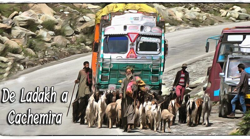 De ladakh a Cachemira