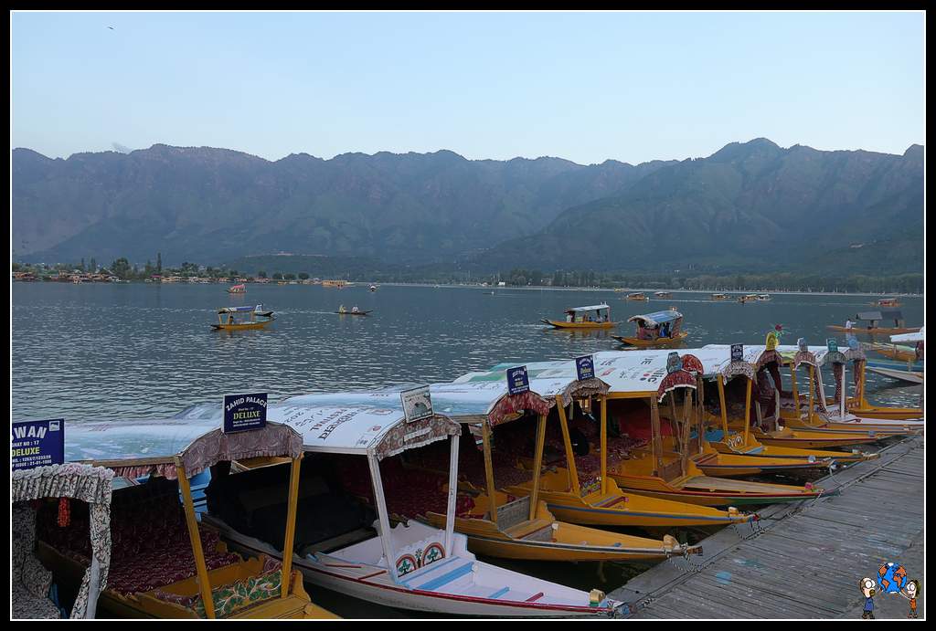 Lago DAl en Srinagar