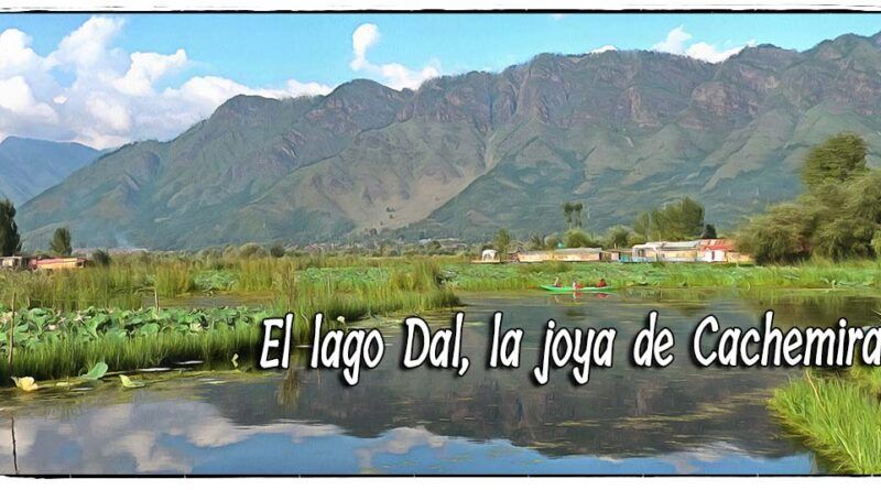 Lago dal la joya de Cachemira