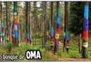Nuevo Bosque de Oma