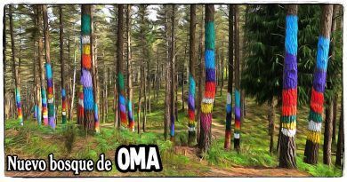 Nuevo Bosque de Oma