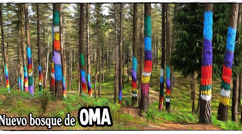 Nuevo Bosque de Oma